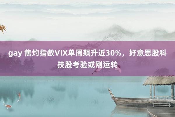 gay 焦灼指数VIX单周飙升近30%，好意思股科技股考验或刚运转