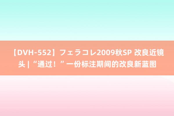 【DVH-552】フェラコレ2009秋SP 改良近镜头 | “通过！”一份标注期间的改良新蓝图