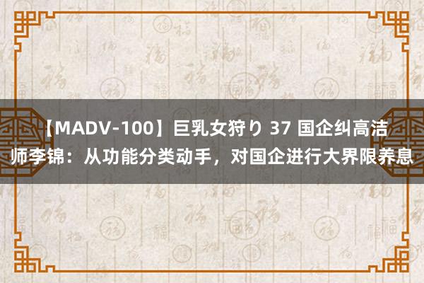 【MADV-100】巨乳女狩り 37 国企纠高洁师李锦：从功能分类动手，对国企进行大界限养息