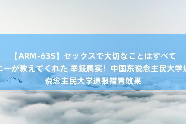 【ARM-635】セックスで大切なことはすべて君とのオナニーが教えてくれた 举报属实！中国东说念主民大学通报措置效果