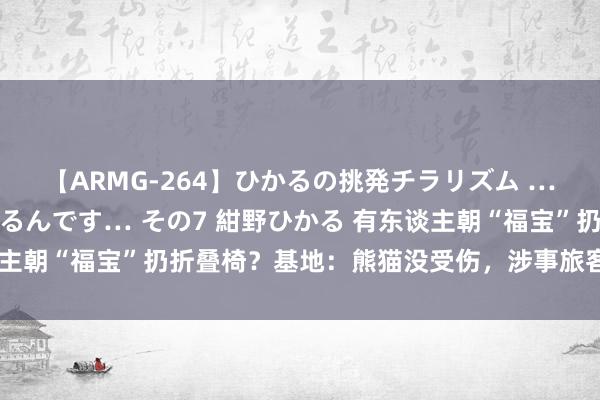 【ARMG-264】ひかるの挑発チラリズム …従妹が小悪魔すぎて困るんです… その7 紺野ひかる 有东谈主朝“福宝”扔折叠椅？基地：熊猫没受伤，涉事旅客被带出景区