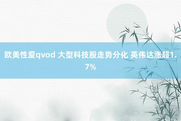 欧美性爱qvod 大型科技股走势分化 英伟达涨超1.7%