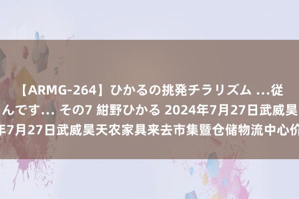 【ARMG-264】ひかるの挑発チラリズム …従妹が小悪魔すぎて困るんです… その7 紺野ひかる 2024年7月27日武威昊天农家具来去市集暨仓储物流中心价钱行情