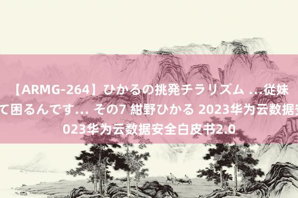 【ARMG-264】ひかるの挑発チラリズム …従妹が小悪魔すぎて困るんです… その7 紺野ひかる 2023华为云数据安全白皮书2.0