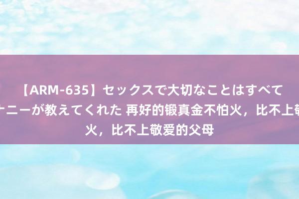 【ARM-635】セックスで大切なことはすべて君とのオナニーが教えてくれた 再好的锻真金不怕火，比不上敬爱的父母