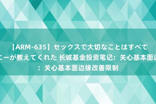 【ARM-635】セックスで大切なことはすべて君とのオナニーが教えてくれた 长城基金投资笔记：关心基本面边缘改善限制