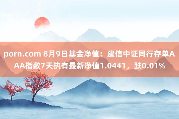 porn.com 8月9日基金净值：建信中证同行存单AAA指数7天执有最新净值1.0441，跌0.01%