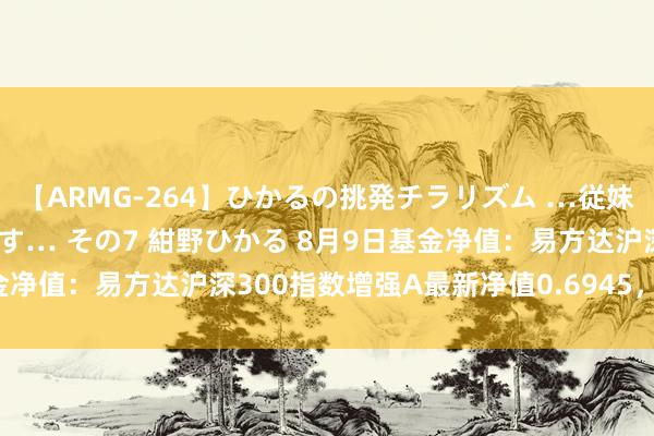 【ARMG-264】ひかるの挑発チラリズム …従妹が小悪魔すぎて困るんです… その7 紺野ひかる 8月9日基金净值：易方达沪深300指数增强A最新净值0.6945，涨0.39%