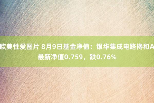 欧美性爱图片 8月9日基金净值：银华集成电路搀和A最新净值0.759，跌0.76%