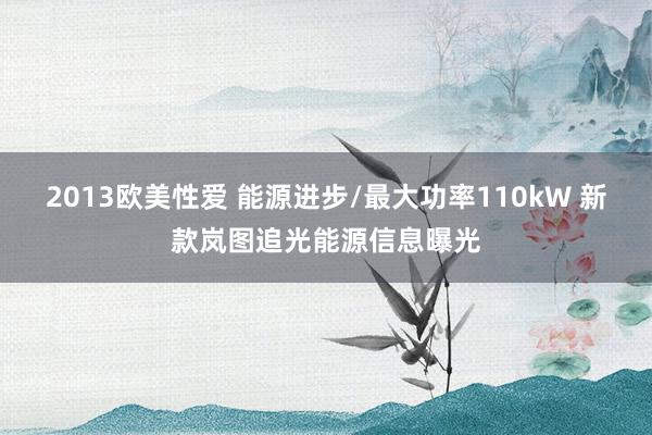 2013欧美性爱 能源进步/最大功率110kW 新款岚图追光能源信息曝光