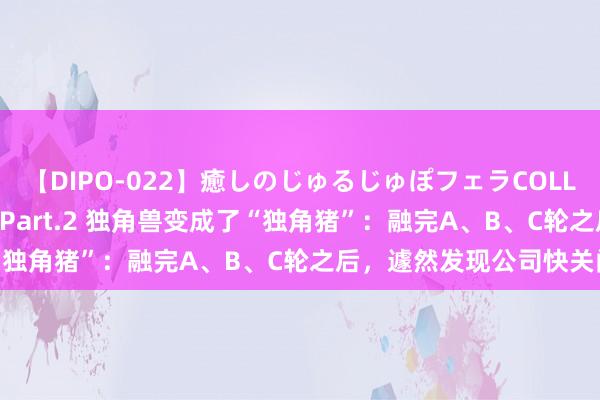 【DIPO-022】癒しのじゅるじゅぽフェラCOLLECTION50連発4時間 Part.2 独角兽变成了“独角猪”：融完A、B、C轮之后，遽然发现公司快关门了