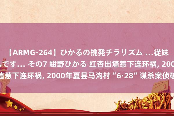 【ARMG-264】ひかるの挑発チラリズム …従妹が小悪魔すぎて困るんです… その7 紺野ひかる 红杏出墙惹下连环祸, 2000年夏县马沟村“6·28”谋杀案侦破始末