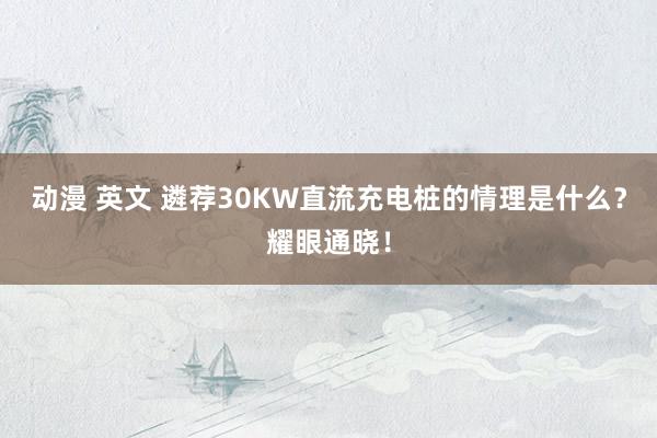 动漫 英文 遴荐30KW直流充电桩的情理是什么？耀眼通晓！