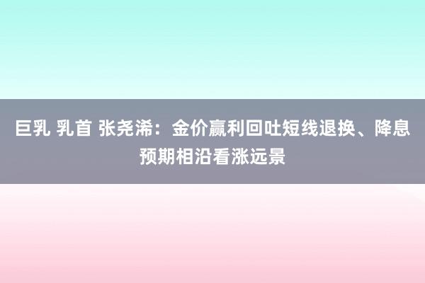 巨乳 乳首 张尧浠：金价赢利回吐短线退换、降息预期相沿看涨远景