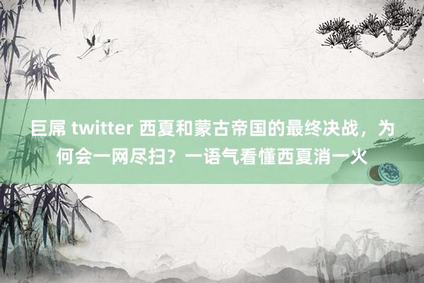 巨屌 twitter 西夏和蒙古帝国的最终决战，为何会一网尽扫？一语气看懂西夏消一火