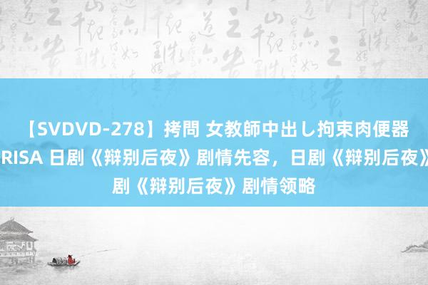 【SVDVD-278】拷問 女教師中出し拘束肉便器 仁科百華 RISA 日剧《辩别后夜》剧情先容，日剧《辩别后夜》剧情领略