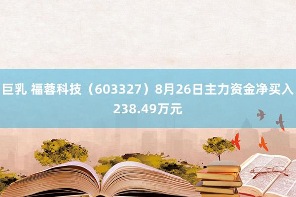 巨乳 福蓉科技（603327）8月26日主力资金净买入238.49万元