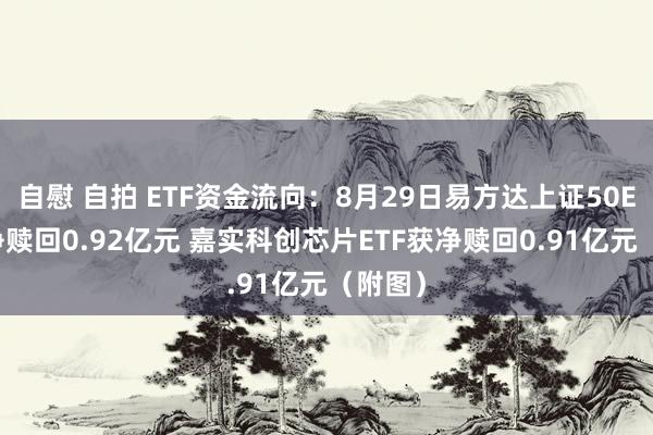 自慰 自拍 ETF资金流向：8月29日易方达上证50ETF获净赎回0.92亿元 嘉实科创芯片ETF获净赎回0.91亿元（附图）