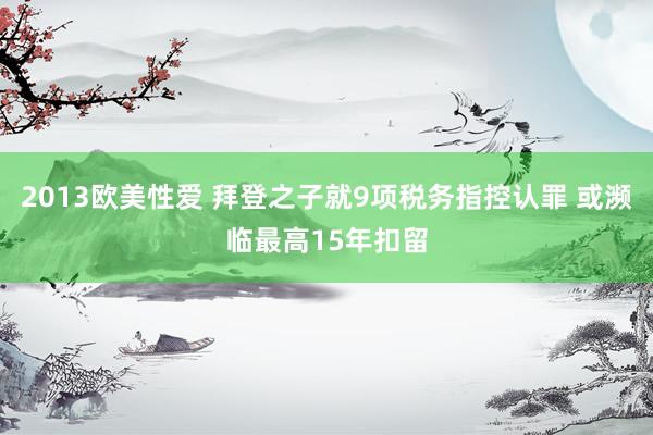 2013欧美性爱 拜登之子就9项税务指控认罪 或濒临最高15年扣留