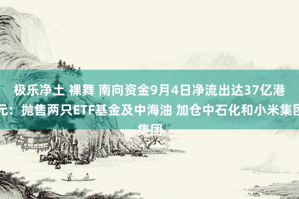 极乐净土 裸舞 南向资金9月4日净流出达37亿港元：抛售两只ETF基金及中海油 加仓中石化和小米集团