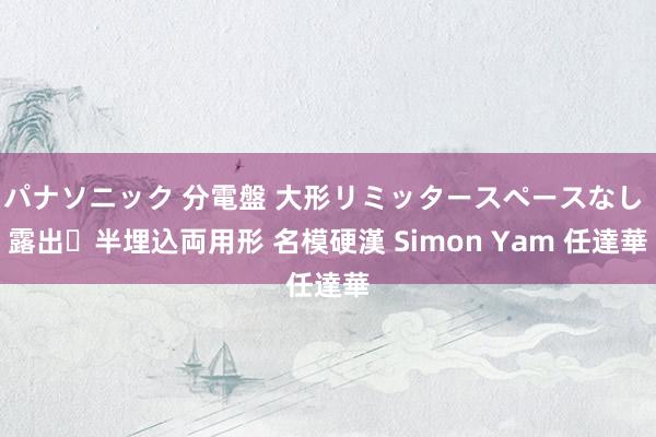 パナソニック 分電盤 大形リミッタースペースなし 露出・半埋込両用形 名模硬漢 Simon Yam 任達華