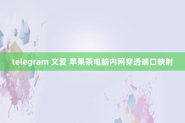 telegram 文爱 苹果茶电脑内网穿透端口映射