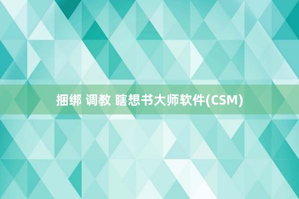 捆绑 调教 瞎想书大师软件(CSM)