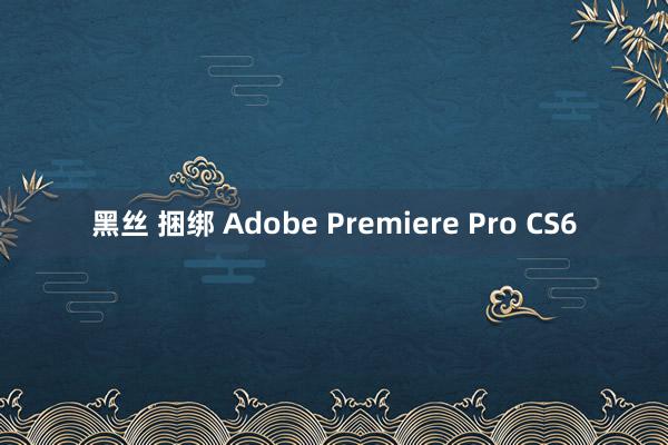 黑丝 捆绑 Adobe Premiere Pro CS6