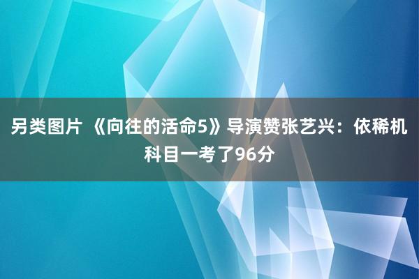 另类图片 《向往的活命5》导演赞张艺兴：依稀机科目一考了96分