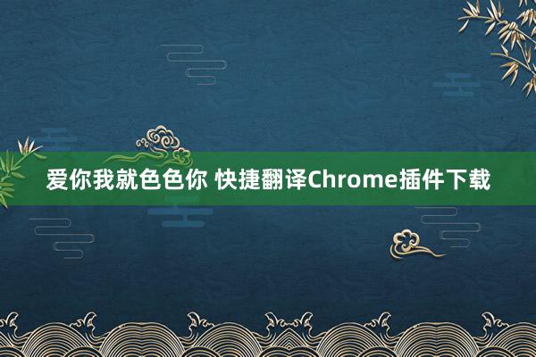 爱你我就色色你 快捷翻译Chrome插件下载