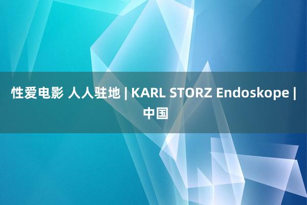 性爱电影 人人驻地 | KARL STORZ Endoskope | 中国