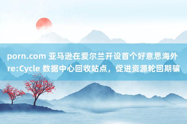 porn.com 亚马逊在爱尔兰开设首个好意思海外 re:Cycle 数据中心回收站点，促进资源轮回期骗