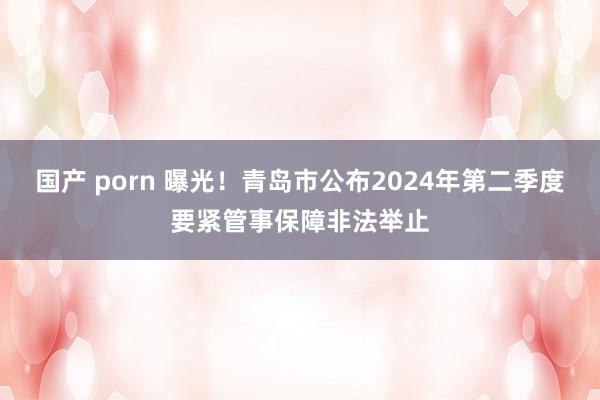 国产 porn 曝光！青岛市公布2024年第二季度要紧管事保障非法举止