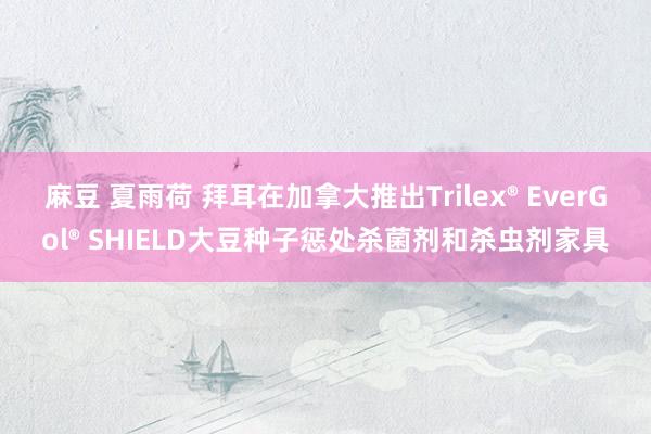 麻豆 夏雨荷 拜耳在加拿大推出Trilex® EverGol® SHIELD大豆种子惩处杀菌剂和杀虫剂家具